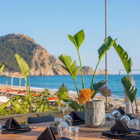 Hotel Royalisa Palmiye Adult Only 3*