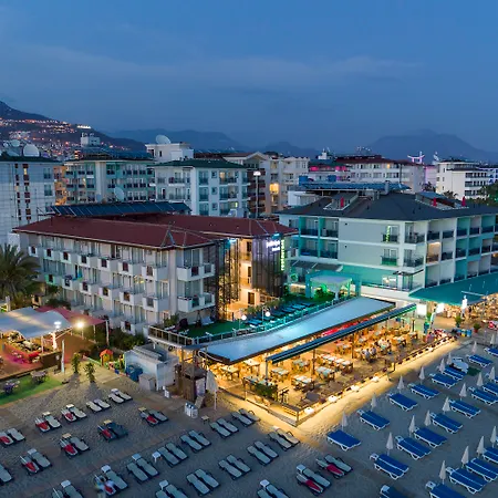 Palmiye