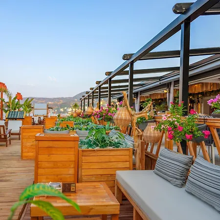 Royalisa Palmiye Adult Only 3*