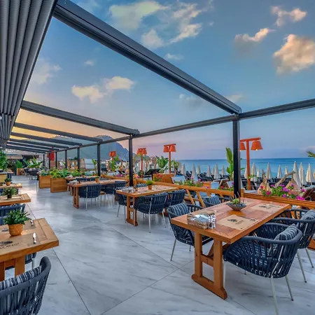 Royalisa Palmiye Adult Only Αλάνια