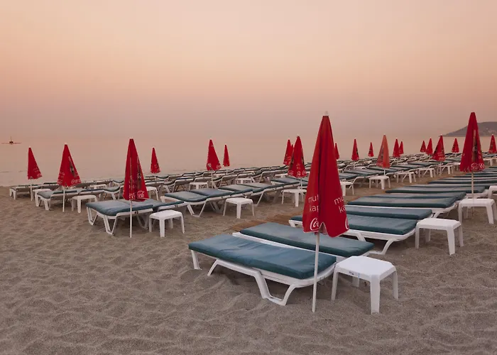 Hotel Royalisa Palmiye Adult Only Alanya